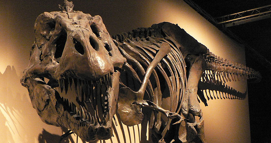 T-Rex Bone Speaks of Cannibalism