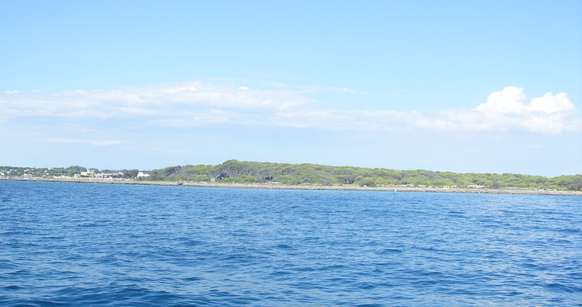 Porto Cesareo Panoramio (2)