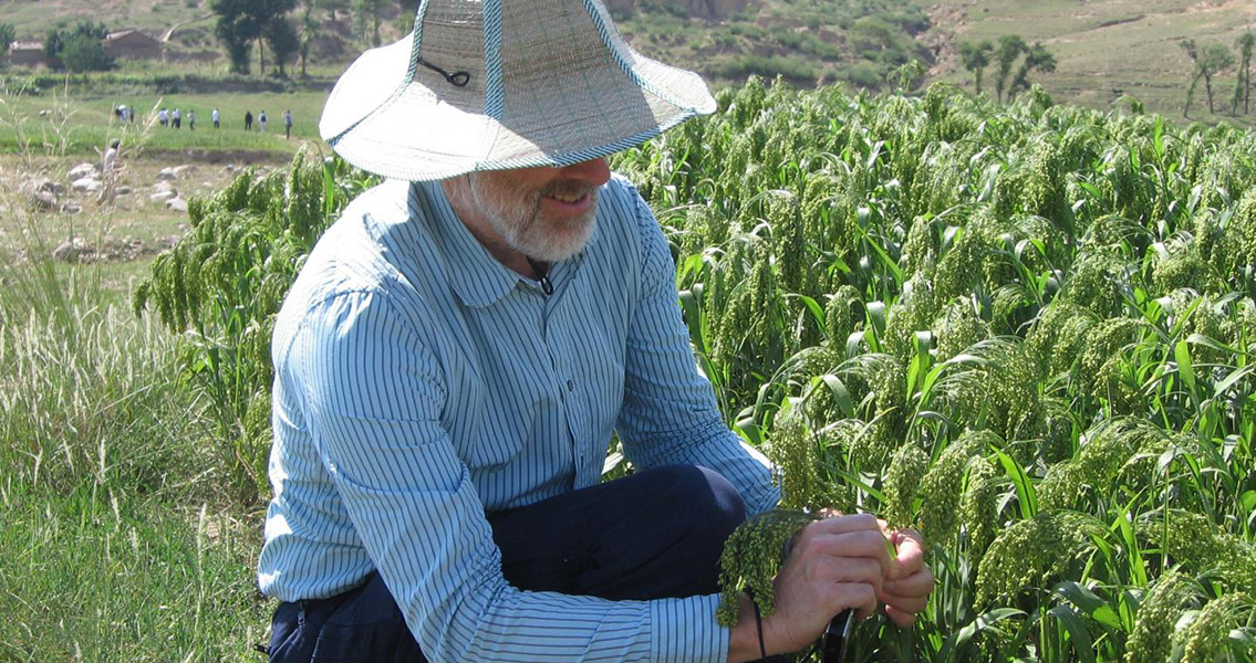 Professor Martin Jones is pictured with Millet in North China