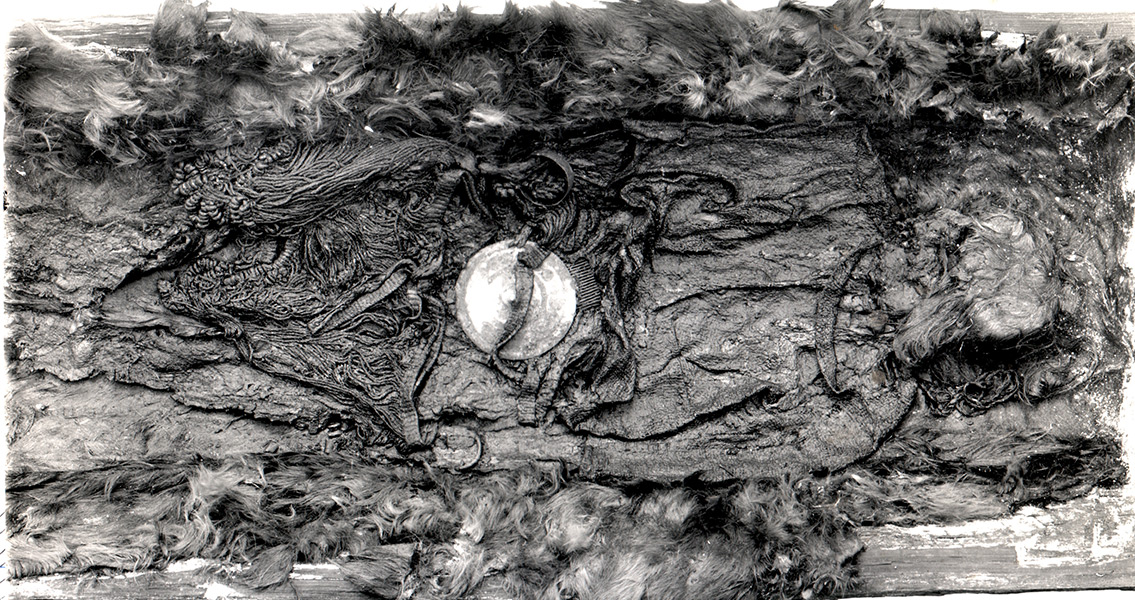 Neanderthal and Human Facial Growth Differences Revealed