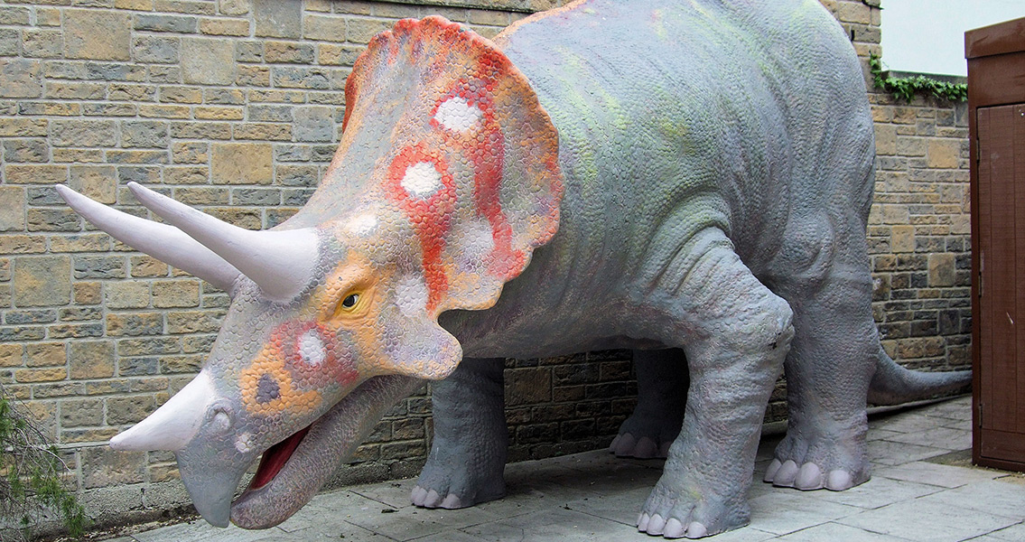 Triceratops