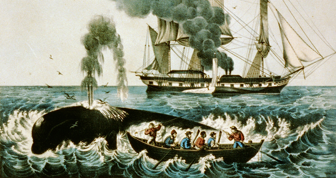 Modern Researchers Turn to Historical Whaling Record