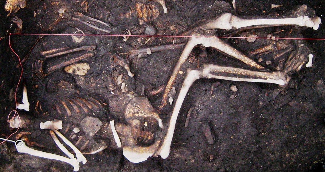 Unknown Reservoir Stored Plague For 300 Years
