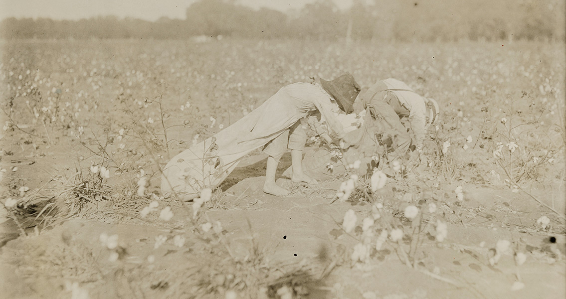 Child labor in Agriculture, Texas United States 1913