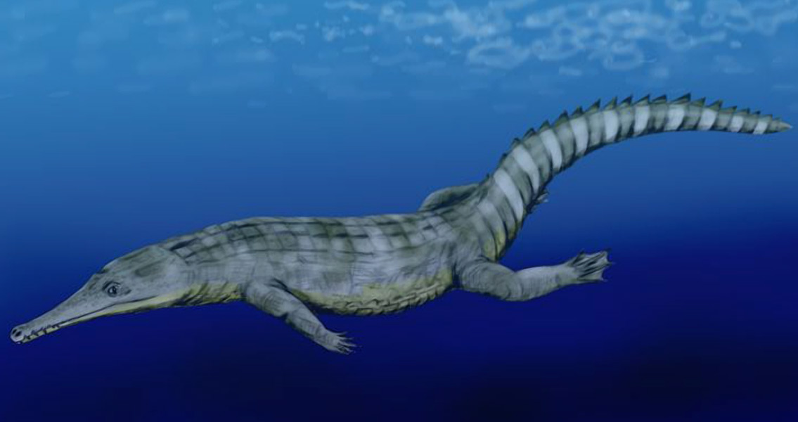 Remains of Massive Ancient Crocodile Found in Tunisia