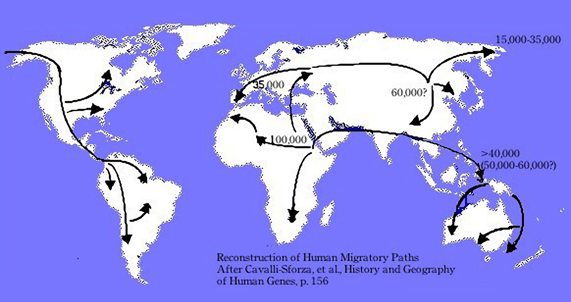 Human migration paths