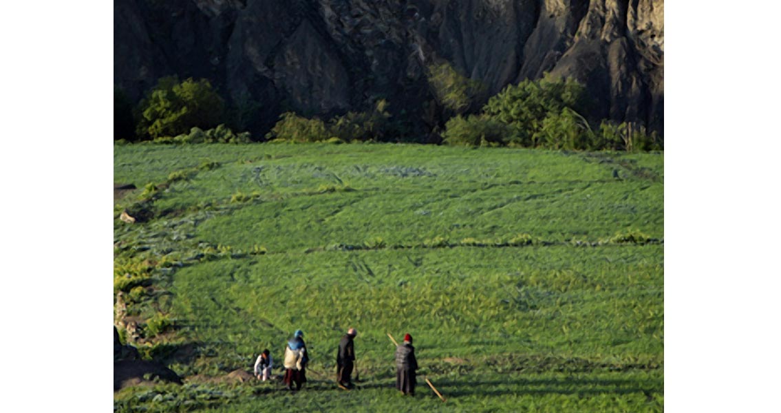 Ancient Human Agriculture Helped Keep Earth Warm