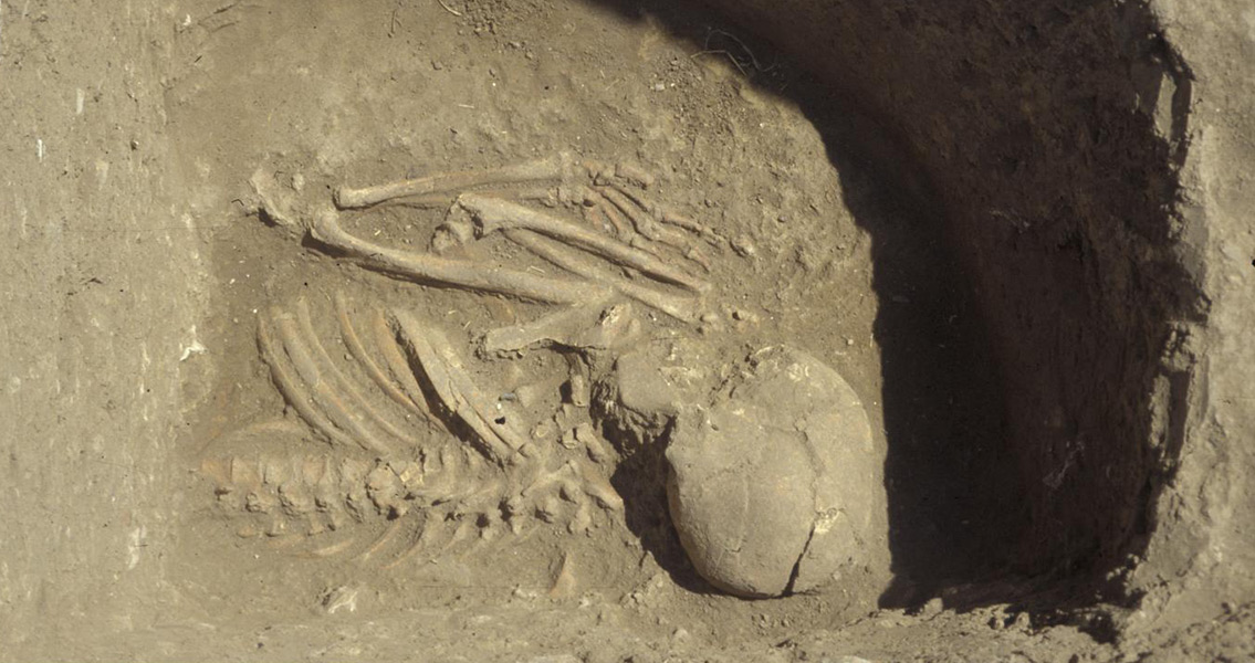 Upper Part of Skeleton from grave 6, Kumtepe