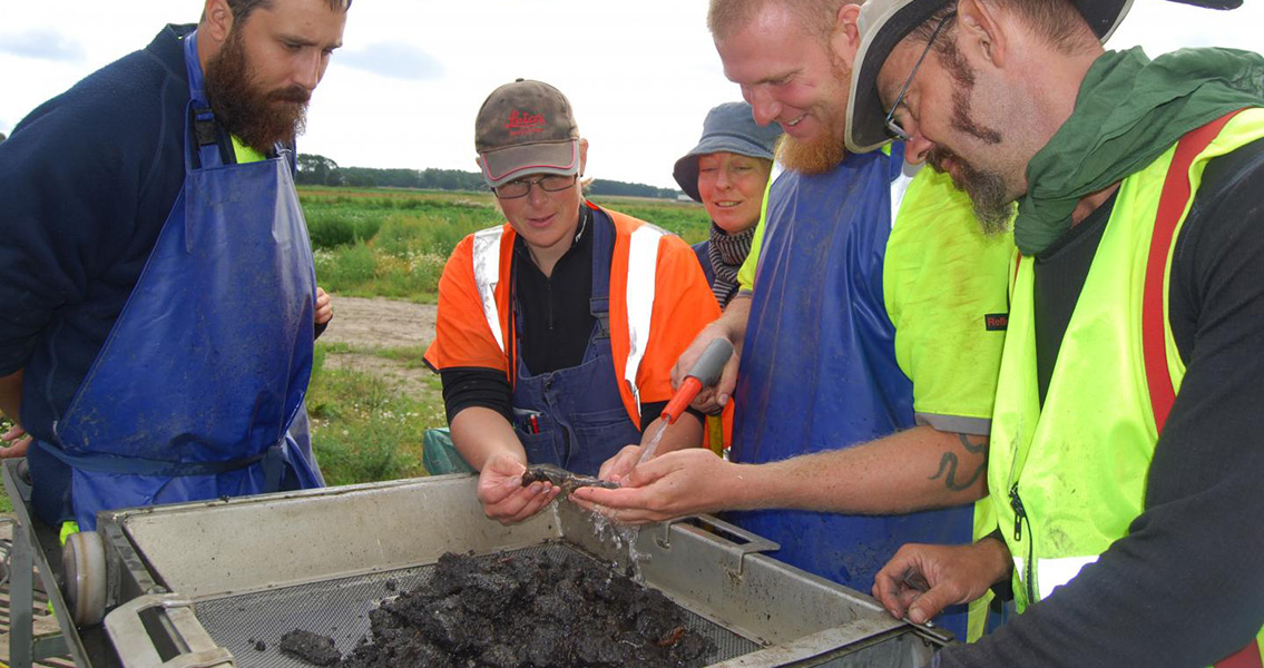 Fermented Fish Cause Rethink of Early Nordic Communities