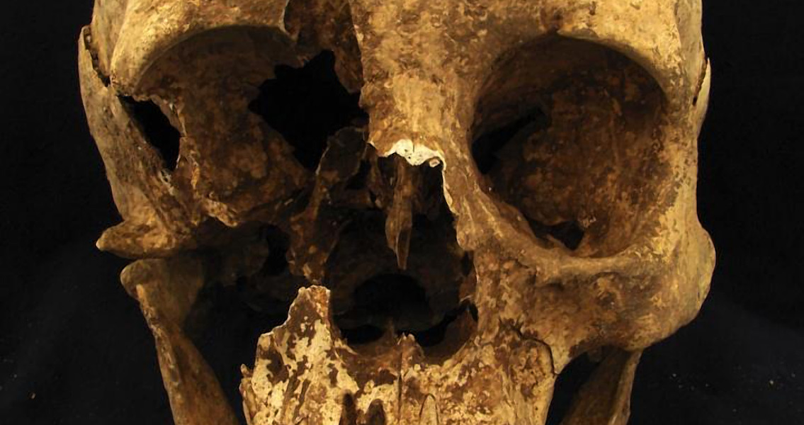The Cradle of Humankind Reveals Another Clue to Our Origin