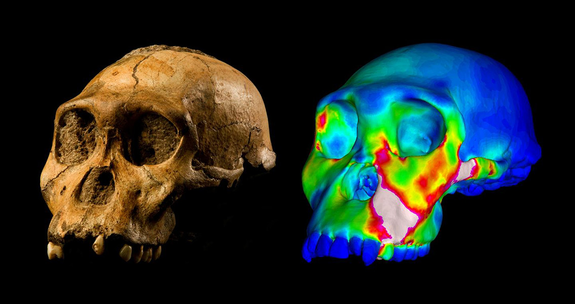 Egyptian Non-Royal Found Buried With a Funerary Vessel