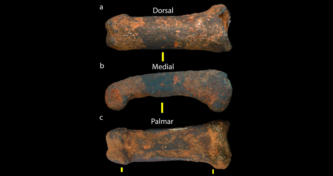 Roman-Era Cemeteries Yield New Data on Human Migration