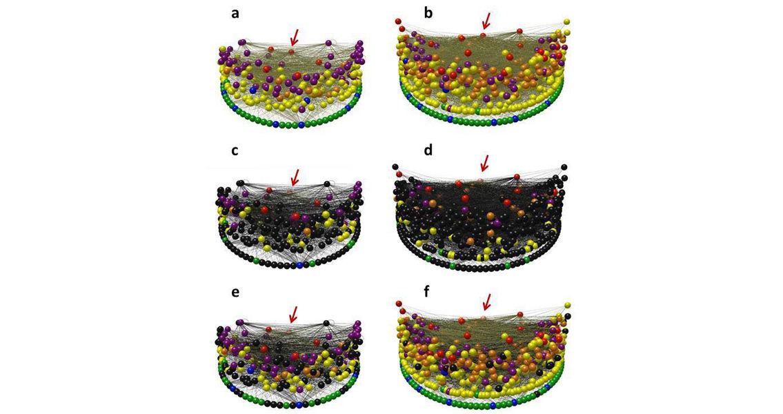 Hunter-Gatherer Behavior Stabilizes Local Ecosystems