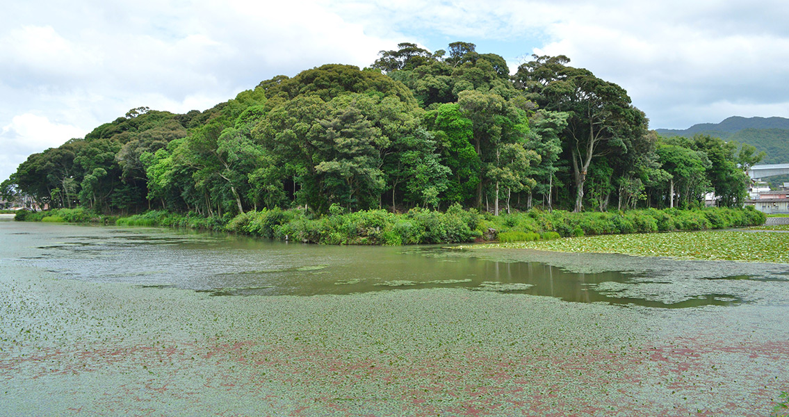 Secrets of Ancient Japanese Burial Mound Revealed