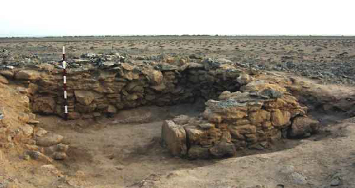 Ancient Remains Paint Picture of Grassland Climate Change