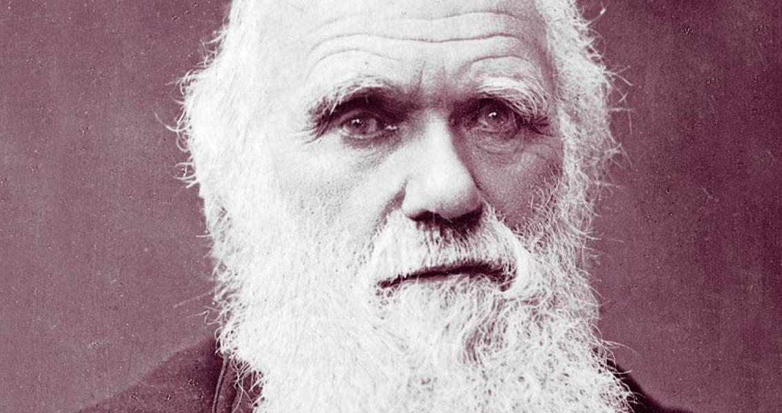 Letter Written By Charles Darwin Still Up for Grabs
