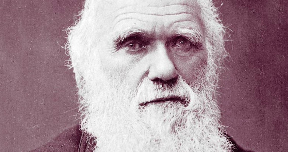 Charles Darwin 1881 (2)