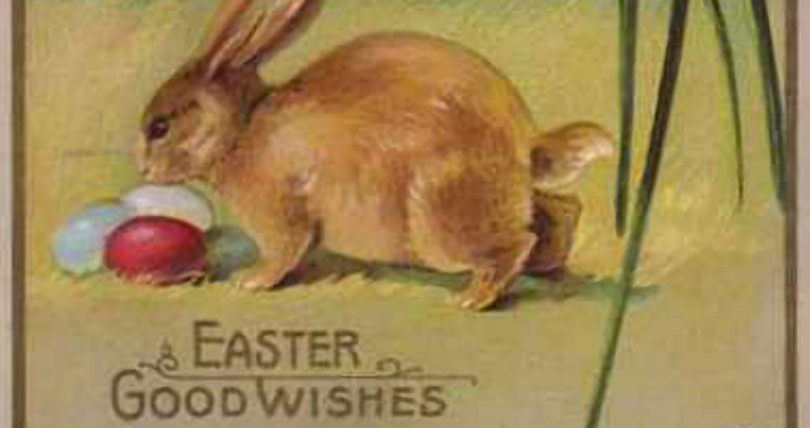 Easter Bunny Postcard (3)