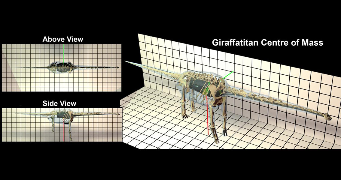 Computer Model Reveals How the Largest Dinosaurs Evolved