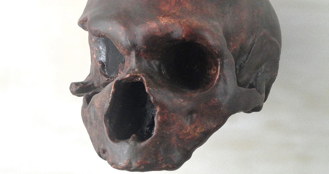 Homo neanderthalensis skull