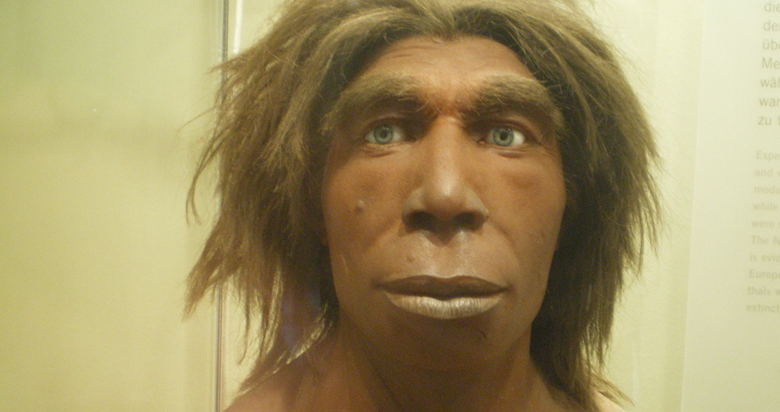 Reconstruction of a Neanderthal