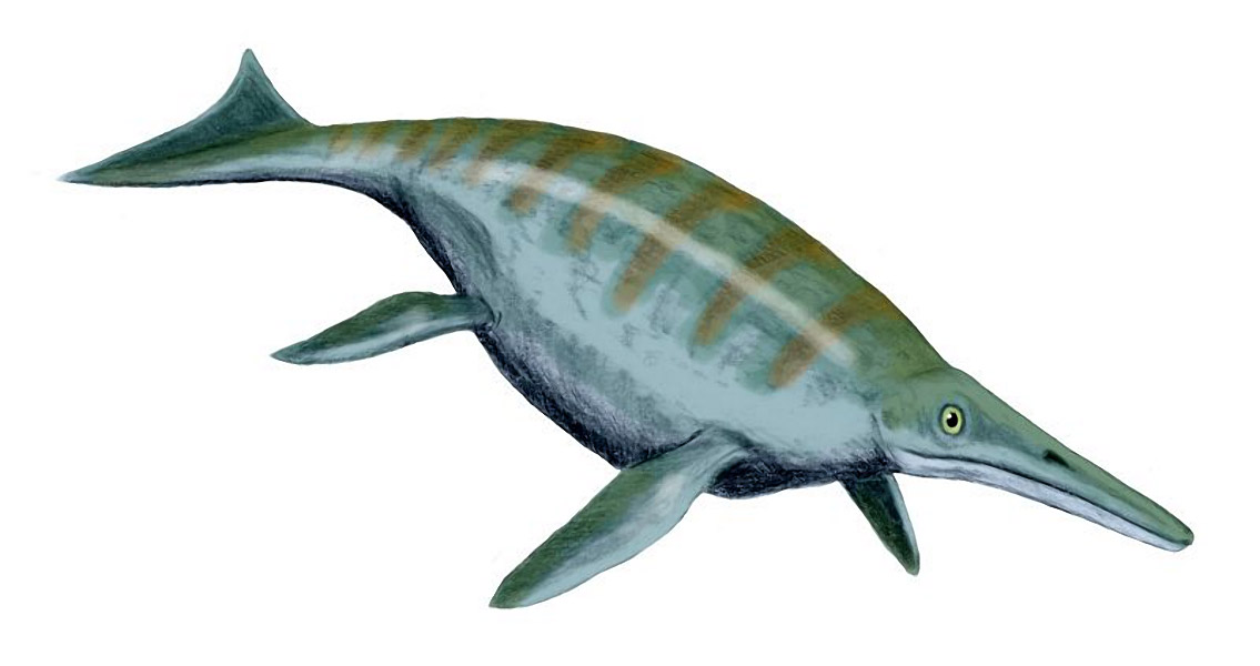 Ichthyosaurs – Ancient Victims of Climate Change