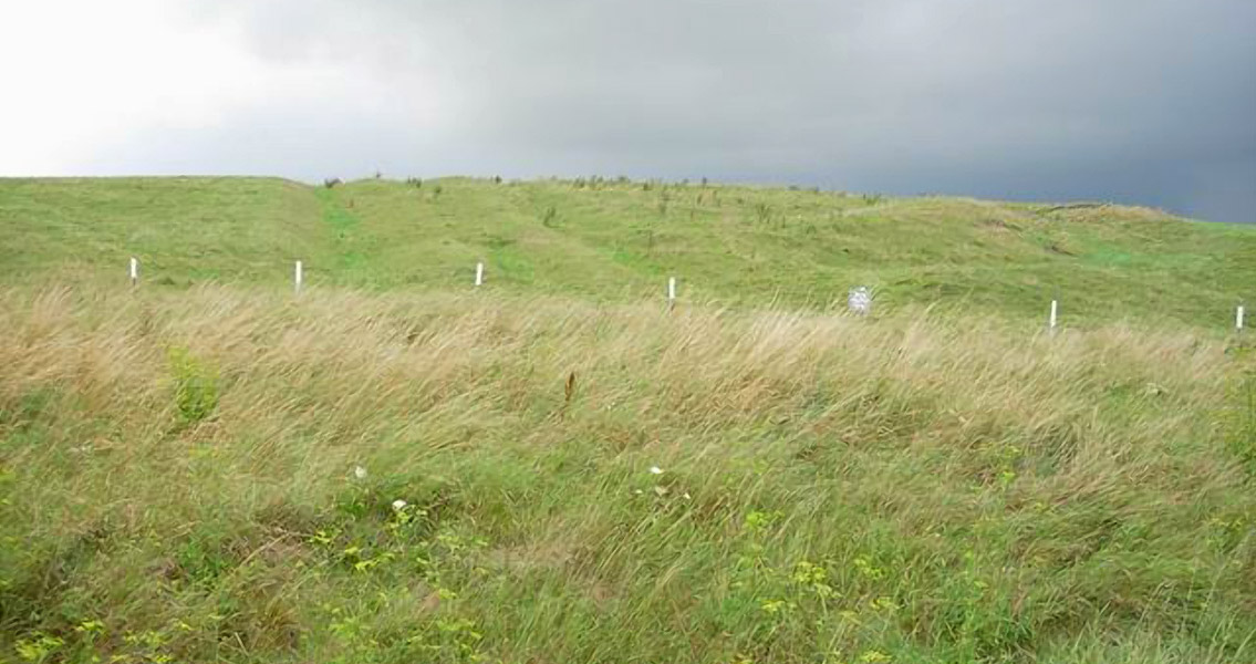 Anglo-Saxon Graves, Prehistoric Finds Discovered in UK