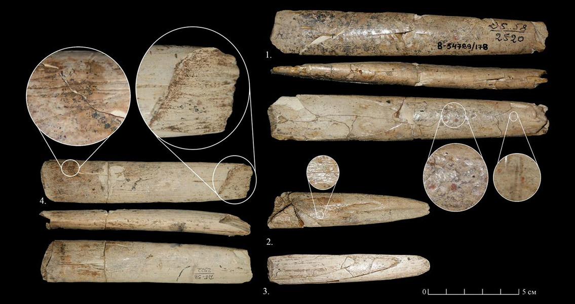 Homo Sapiens Inhabited Russian Dig Site