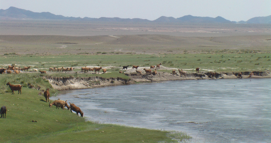 Khovd province Western Mongolia