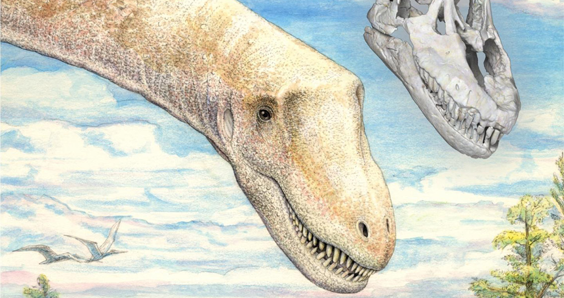 New Titanosaurian Dinosaur Discovered in Patagonia