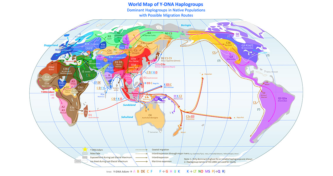 World Map of Y DNA Haplogroups (2)