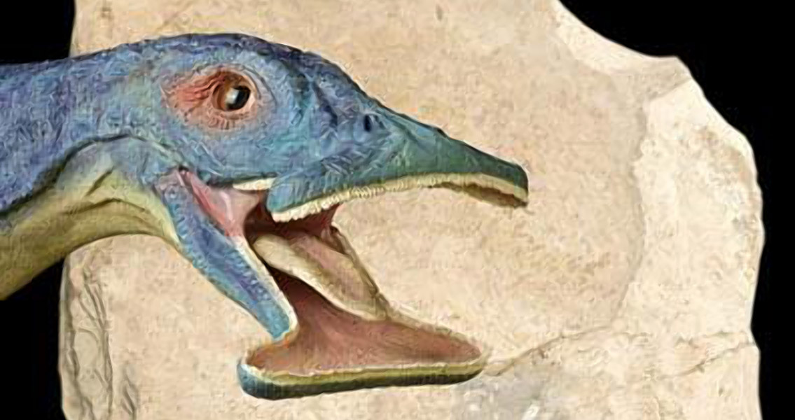 World’s First Plant-Eating Marine Reptile Discovered