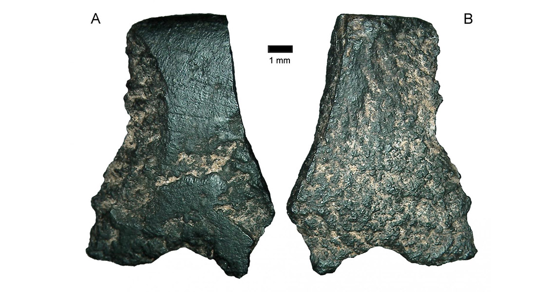 Fragments from the world's oldest known axe (2)