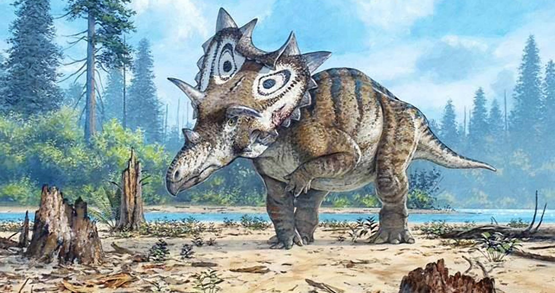 Decade Old Discovery Leads to New Dinosaur Species