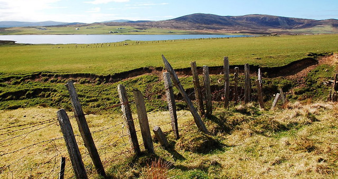 Old Fence