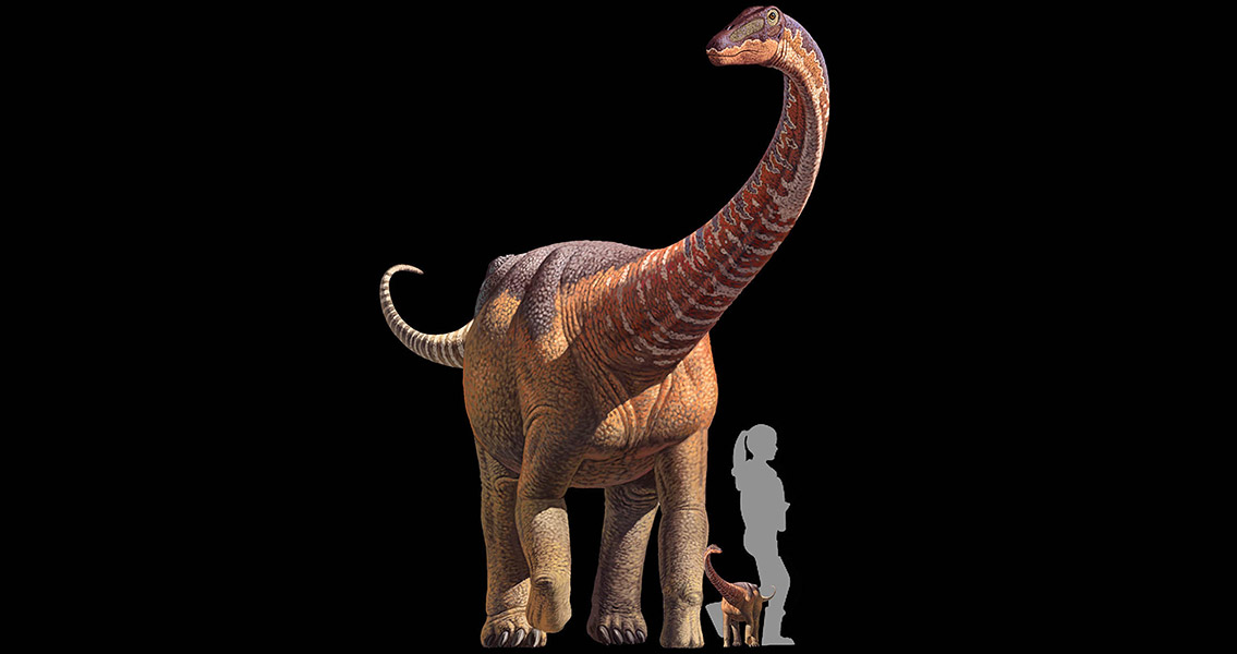titanosaurus fossil