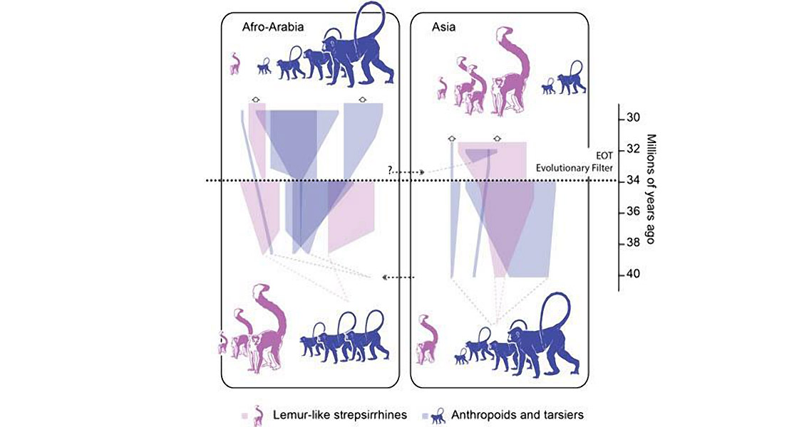 New Study Reveals the Reason Humans Evolved from Africa