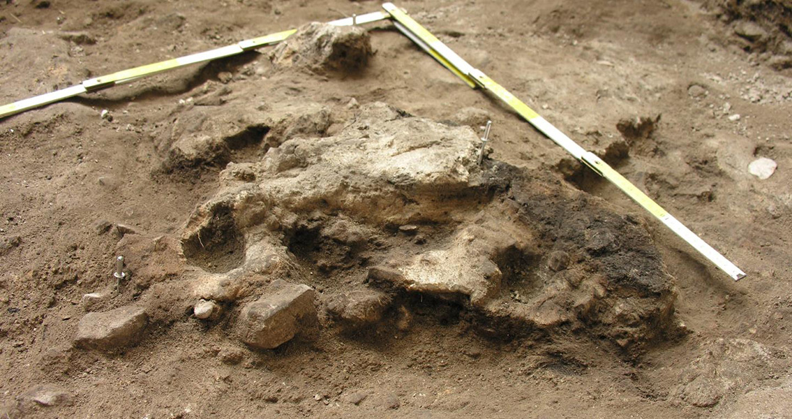 Researchers Find 5,000 Year Old Livestock Pens