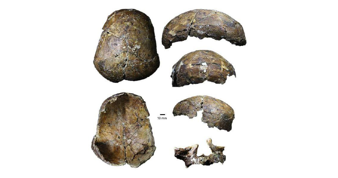 Skull a 'Game Changer' for South-East Asia Prehistory