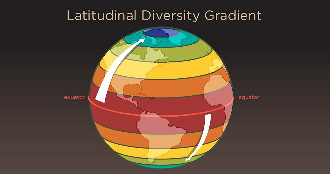 Past Biodiversity Patterns Different to Today's