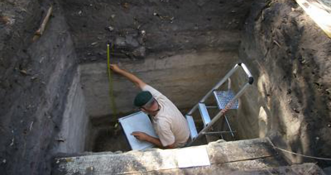 Rice and Beans Solve Madagascar Mystery