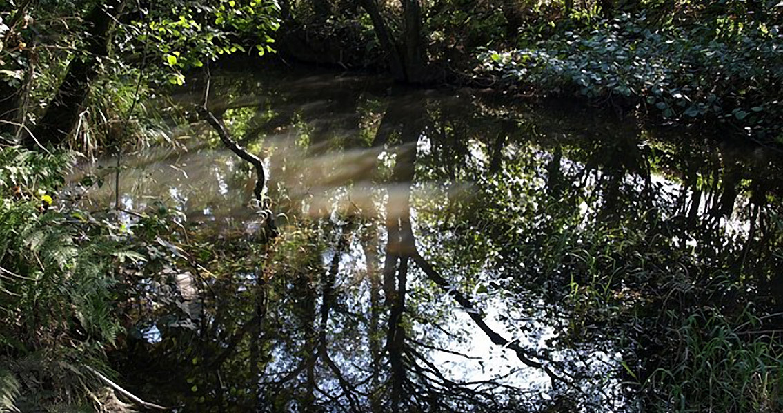 Volunteers Make Exciting Stover Canal Find in Devon