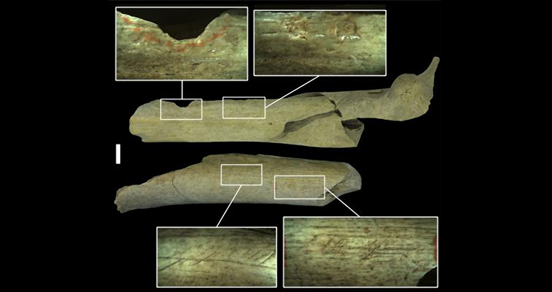 Mass Spectrometry Used to Analyze Contents of Ancient Jug