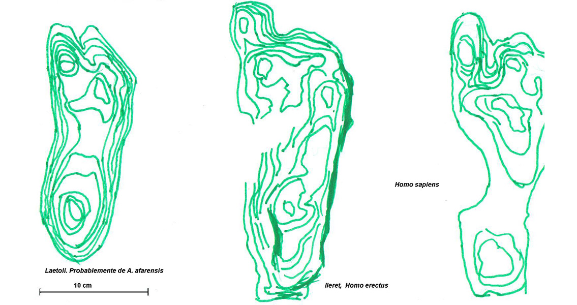 Homo footprints