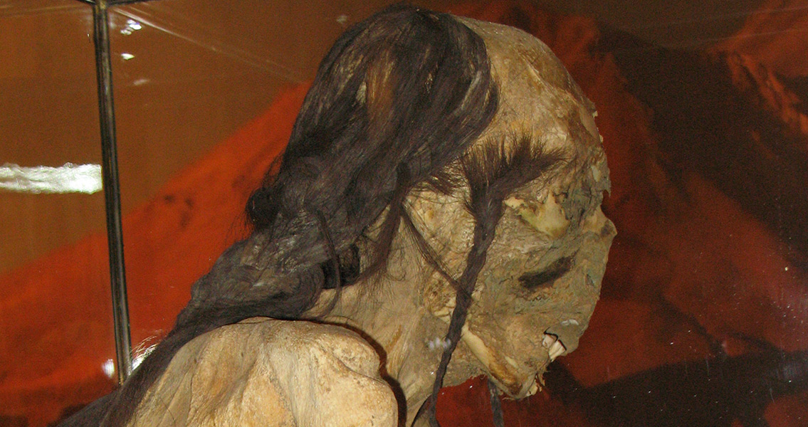 Hair Analysis of Chile Mummy Reveals Low-Stress Life