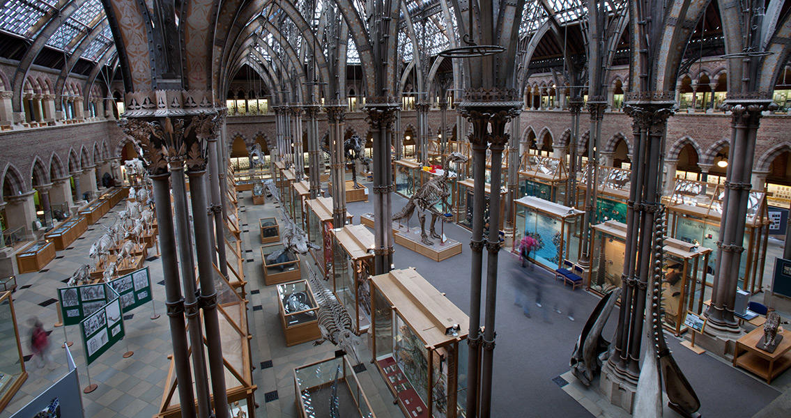 Oxford University Museum of Natural History