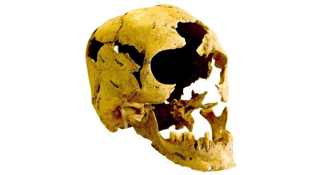 Skull (1)