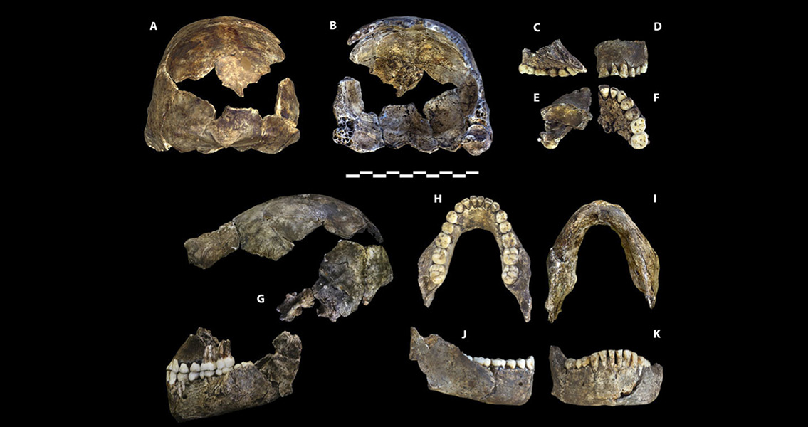 Ancient Ocean Temp Data Supports Dinosaur Extinction Theory