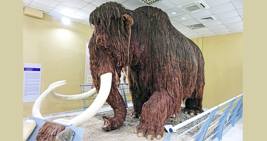 Scientists Get Amazingly Accurate Date for Mammoth Extinction New