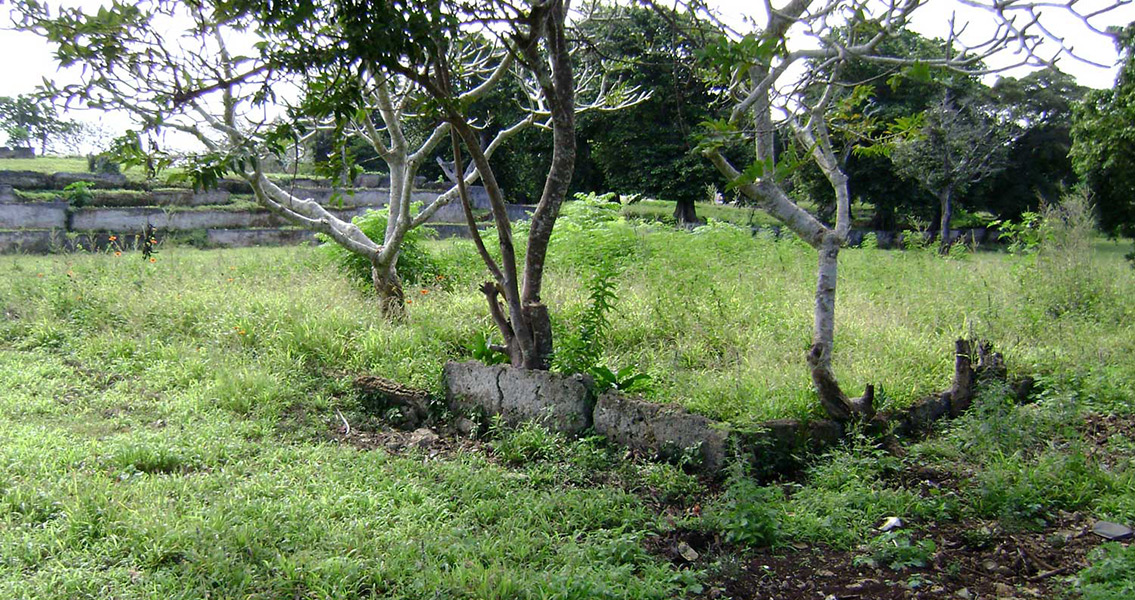 New Tech Used to Literally Throw New Light On Tongan Ruins